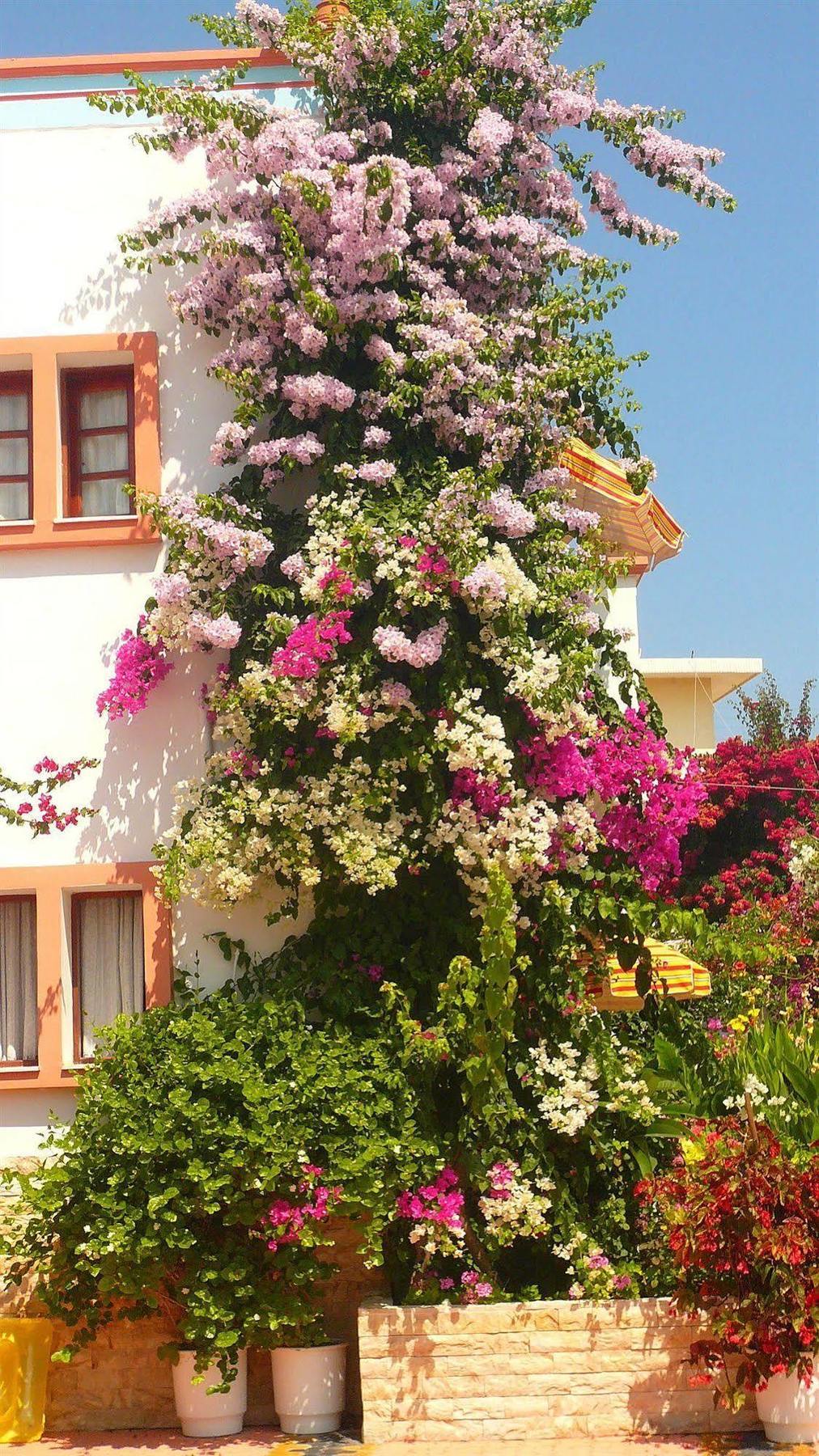 Villa Elizea Stalos Exterior photo